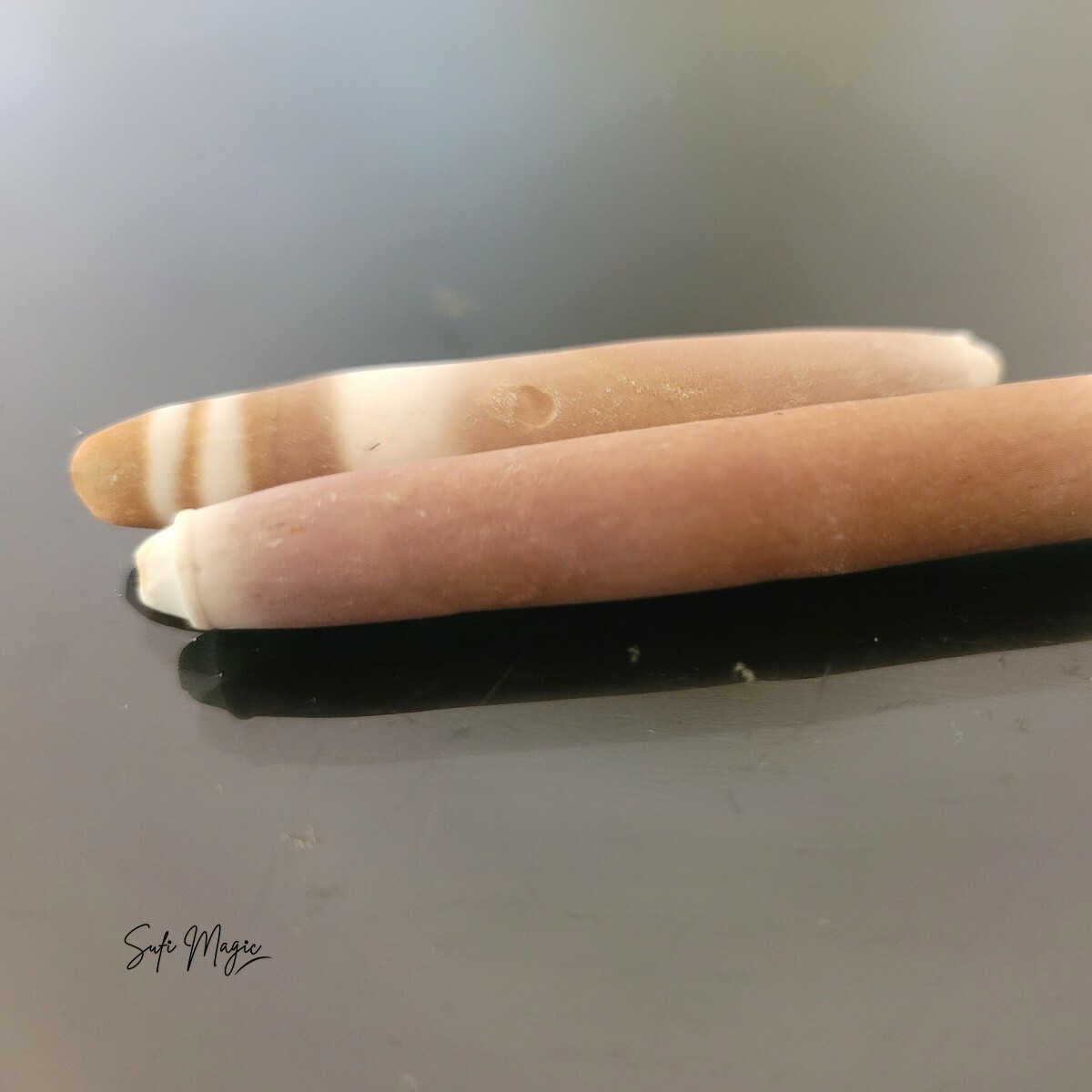 Original and Spiritually Activated Pair Marine Sahel Root Pair – Guaranteed!
