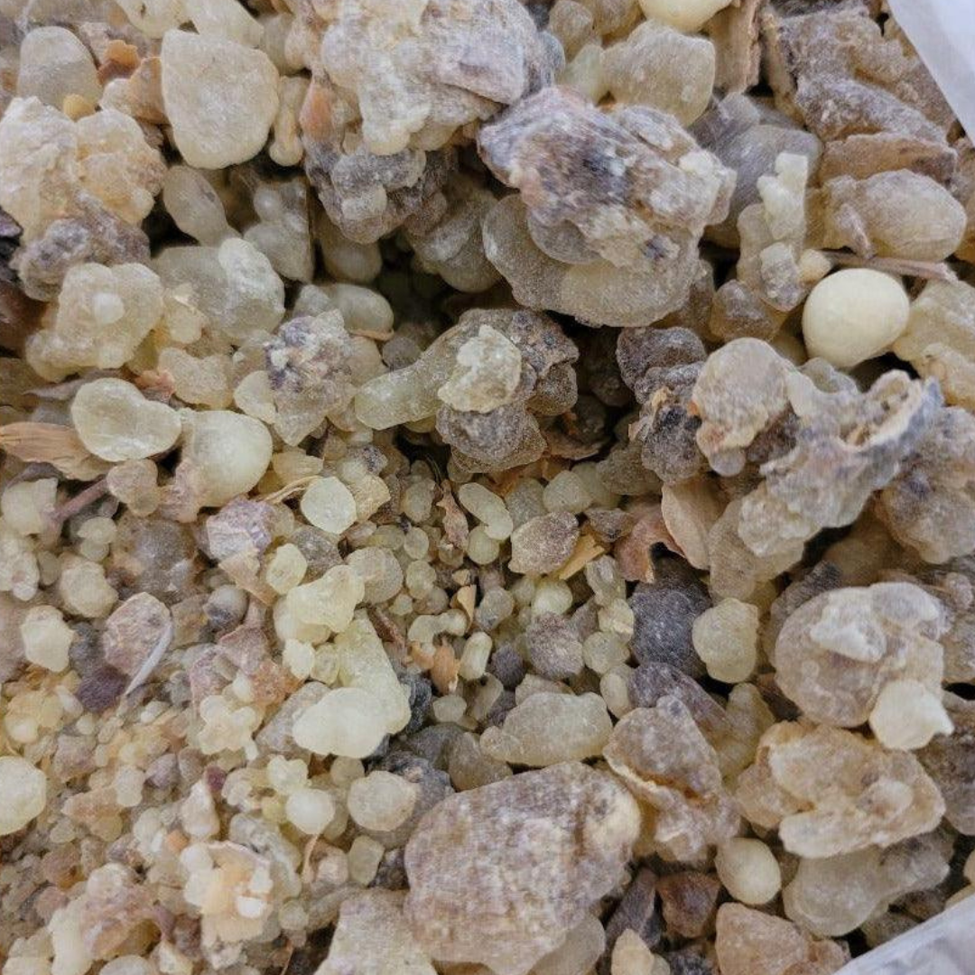 luban aldakhar the male tree frankincense extreemly rare