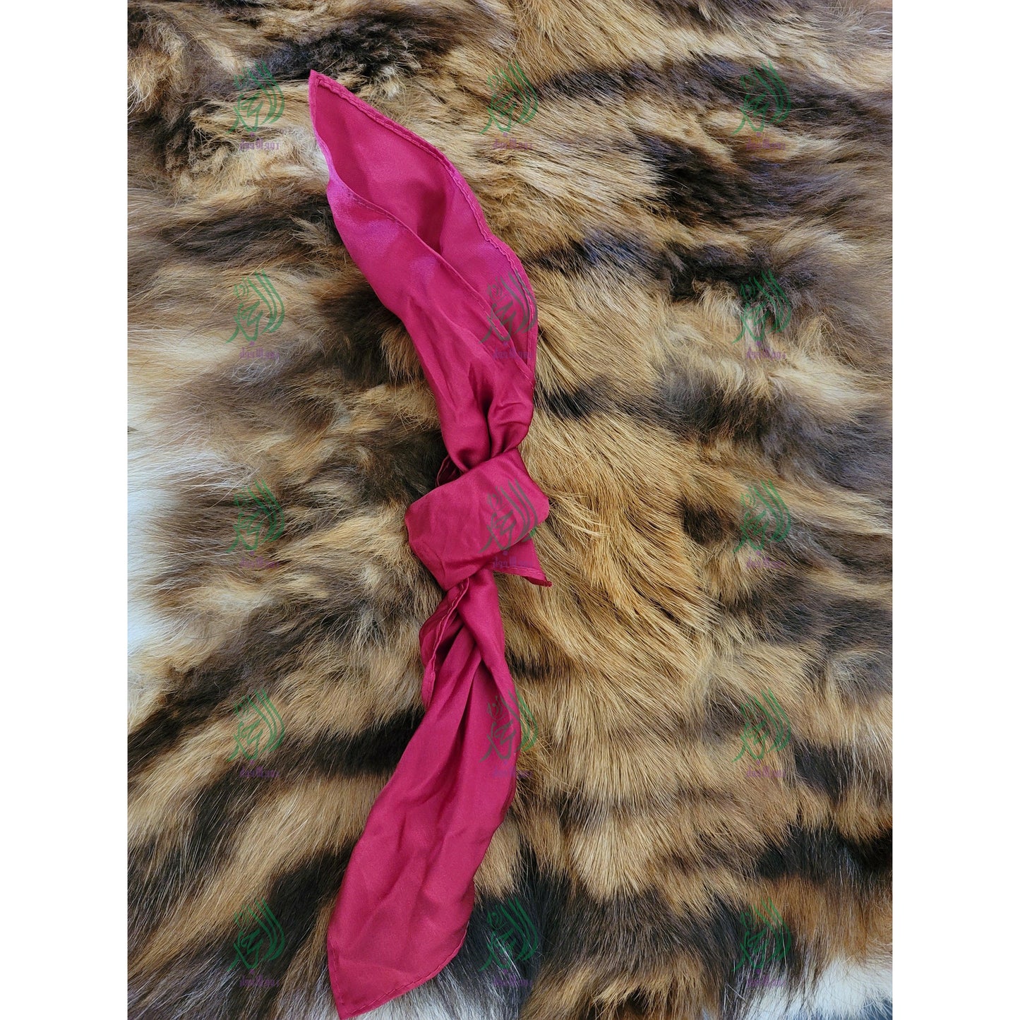 tail tied in a cloth