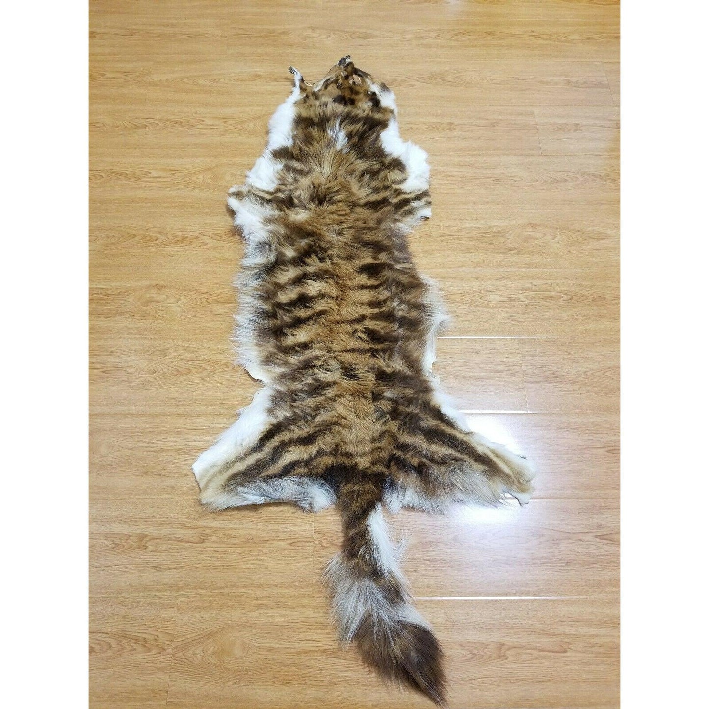 tail side of the skin