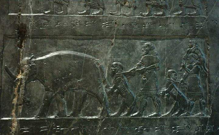 The invocation of Ababil – By Approval only - Half Payment