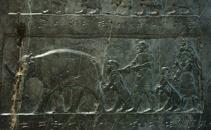 The invocation of Ababil – By Approval only - Half Payment