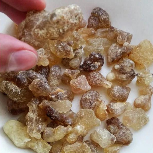 Empowered Hojary first grade Frankincense
