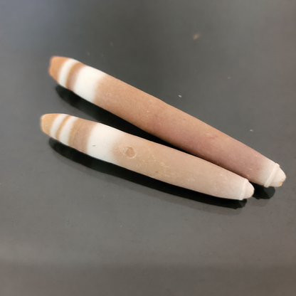 Original and Spiritually Activated Pair Marine Sahel Root Pair – Guaranteed!