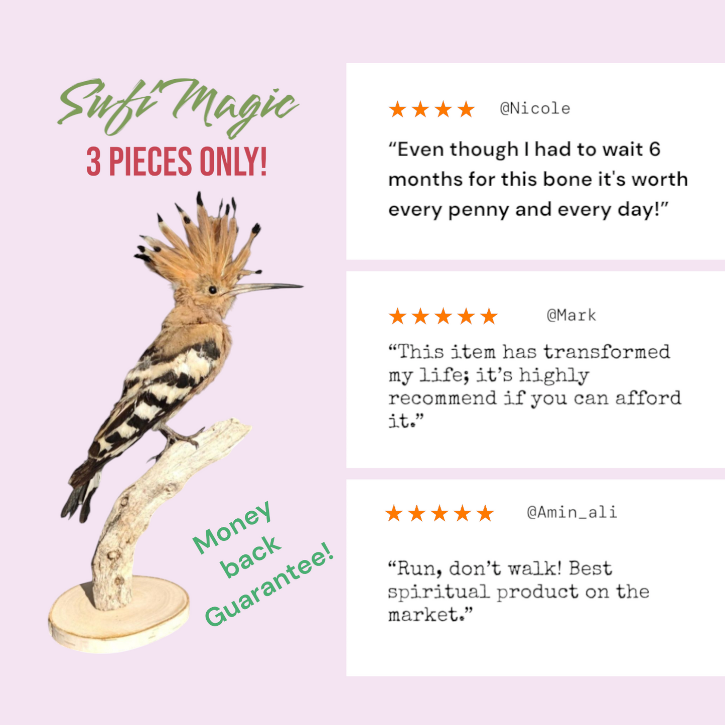 The Sacred Hoopoe Bone 3 pieces only