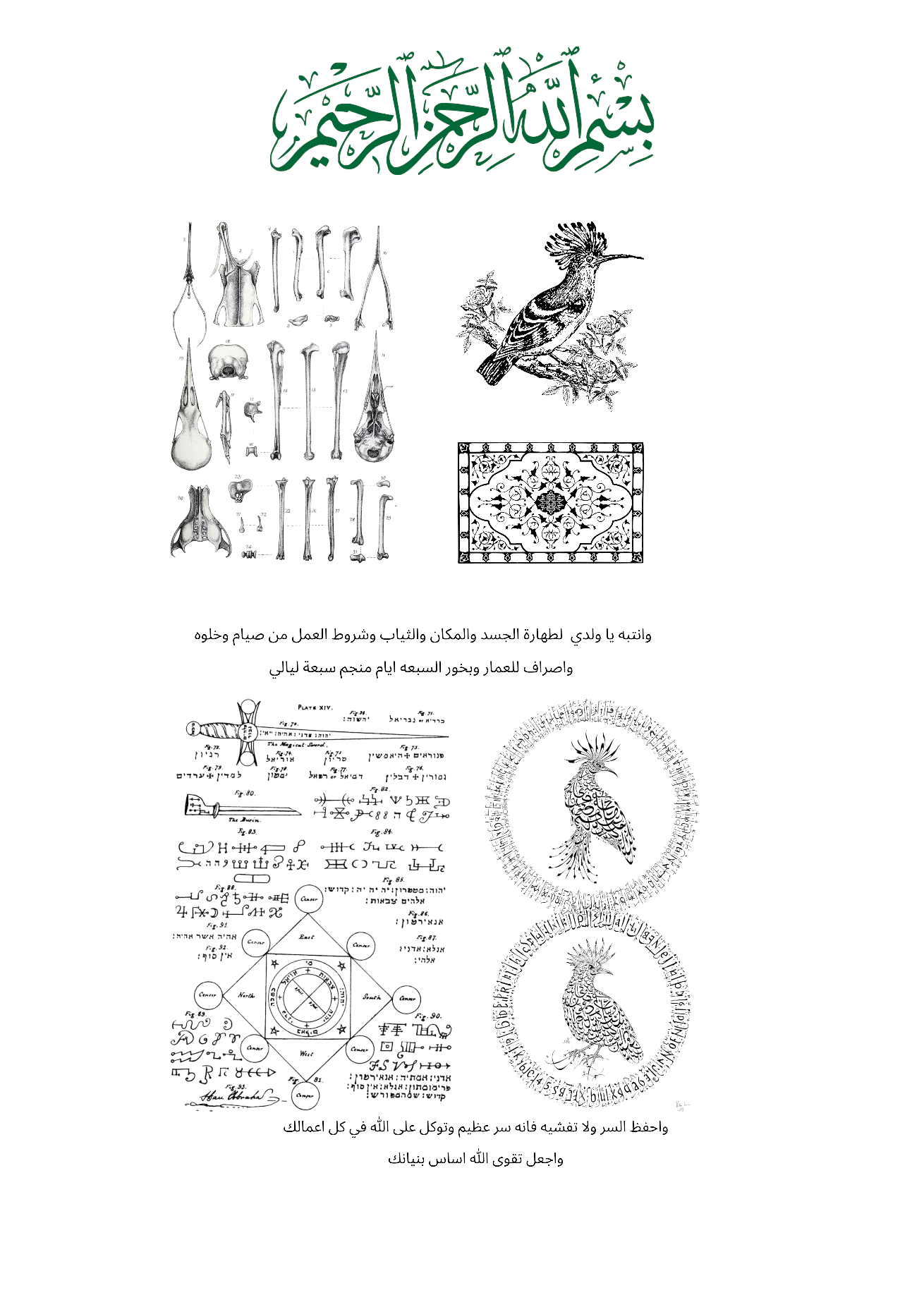 The Sacred Hoopoe Bone 3 pieces only