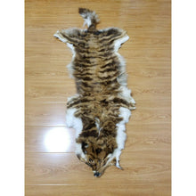 Load image into Gallery viewer, Queen Hyena skin for extreme love and attraction
