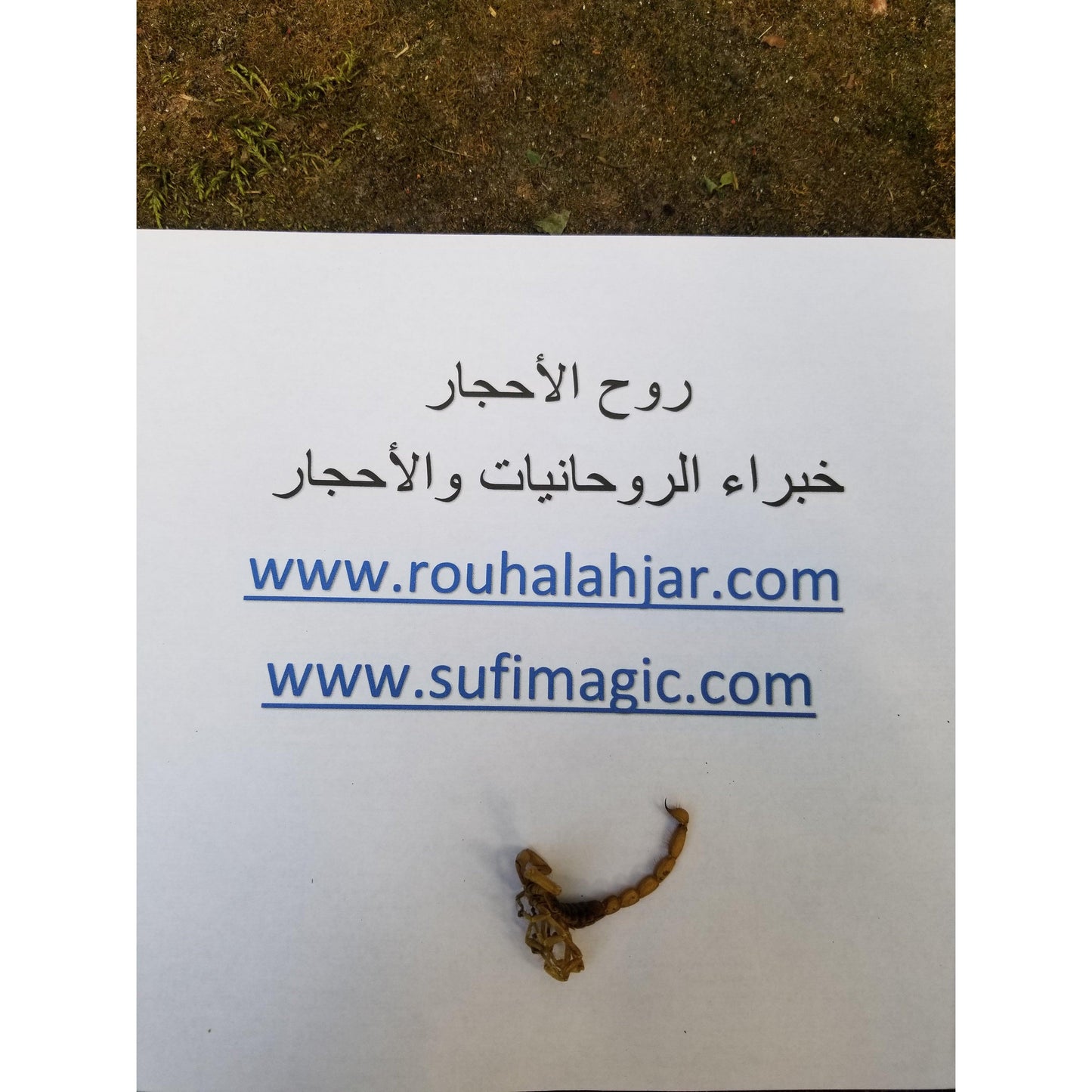 Arabic text written on paper with Scorpion  