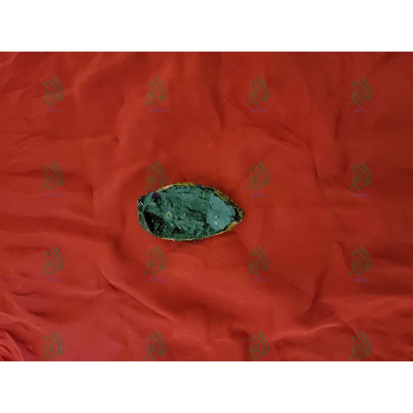 inside of tail from top