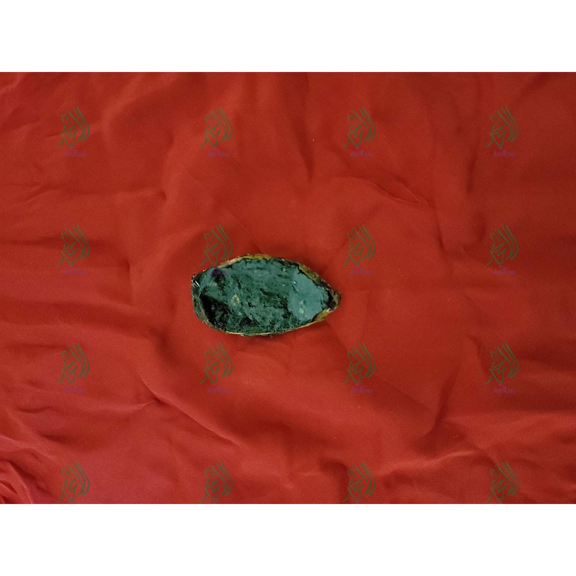 inside of tail from top