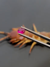 Load image into Gallery viewer, Centipede stone Eid special - 10 pieces only
