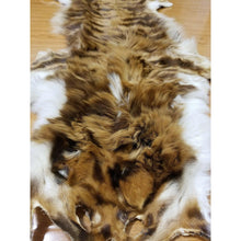Load image into Gallery viewer, Queen Hyena skin for extreme love and attraction
