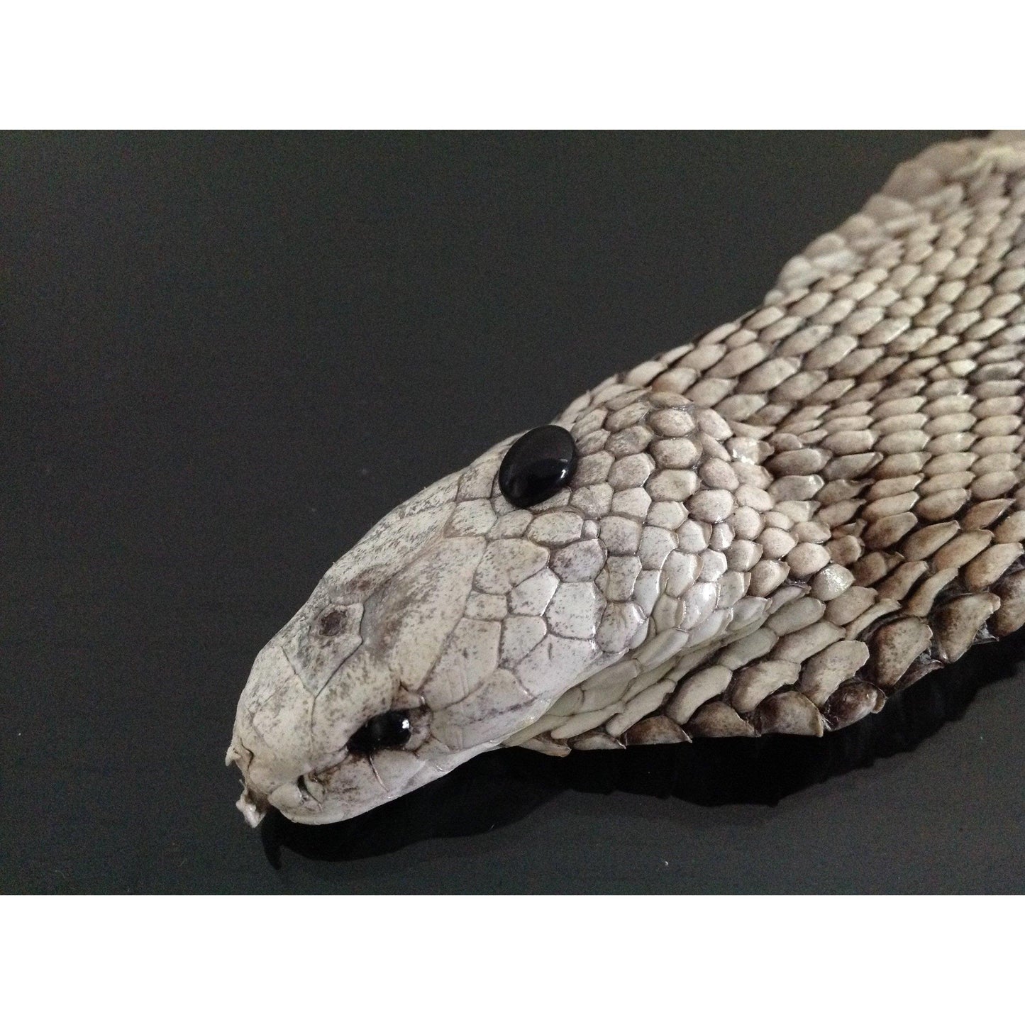 black stone on snake's head