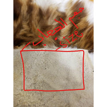 Load image into Gallery viewer, Queen Hyena skin for extreme love and attraction
