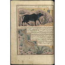 Load image into Gallery viewer, Downloadable love Taweez - amulet - talisman
