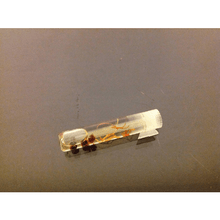 Load image into Gallery viewer, Attraction oil - very potent love and attraction oil 100% Natural and handmade - sufi magic - taweez - talisman - amulet - white magic
